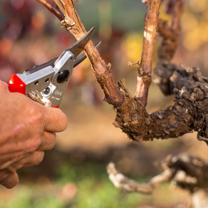 Felco F6 Bypass Pruning Shears