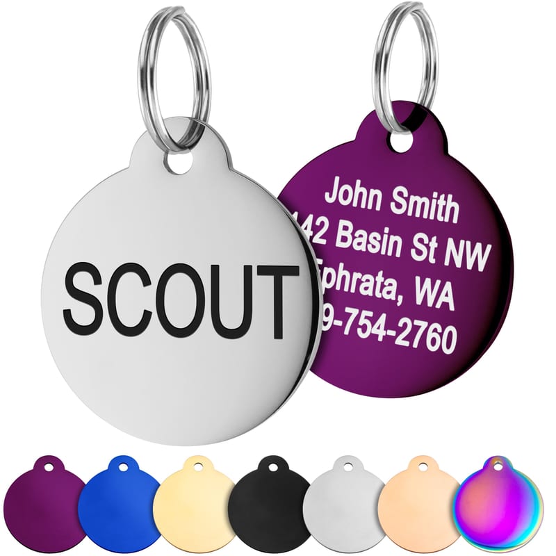 GoTags Personalized Stainless Steel Pet ID Tag