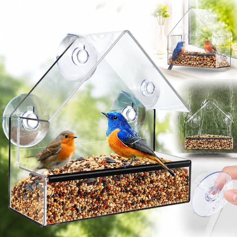 Window Bird Feeder with Strong Suction Cups